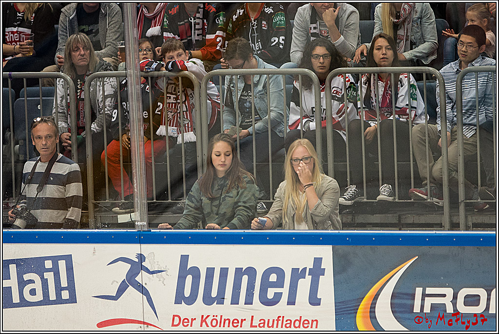 Koelner Haie - EHC Red Bull Muenchen , 16.09.16(KW37)